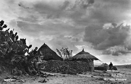 Tukuls On The Road To Bishoftu, Ethiopia - éthnie - Ethiopie - Animé - Ethiopie