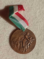 Medaglia Croce Rossa Italiana Faenza Premiazione 1956 - Non Classificati