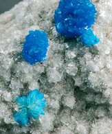 Mineral - Cavansite (Maharasthra, India) - Lot. S 821 - Minéraux