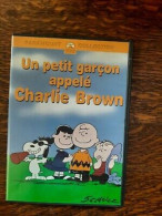 DVD - Un Petit Garçon Appelé Charlie Brown - Animation