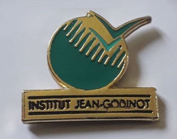 AN364 Pin's Institut Jean Godinot à Reims Marne Médecine Lutte Contre Le Cancer Achat Immédiat - Médical