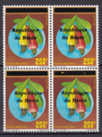 BENIN 1997 2000 MICHEL A1116 250F UNPRICED - FRUITS ANACARDE ANACARDES FRUIT - OVERPRINTED OVERPRINT SURCHARGE MNH - Bénin – Dahomey (1960-...)