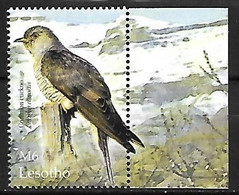 Lesotho - MNH ** 2004 :   Common Cuckoo  -  Cuculus Canorus - Koekoeken En Toerako's