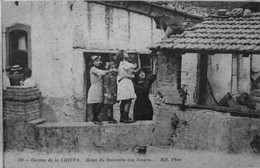 Gorges De La Chiffa : Hotel Du Ruisseau Des Singes - Blida