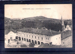 01. Montluel. Couvent De La Visitation. Petit Manque En Haut - Montluel