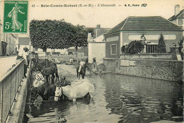 Brie Comte Robert * Vue Sur L'abreuvoir * Chevaux - Brie Comte Robert