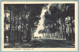 Cartolina Viareggio Viale Marco Polo - Non Viaggiata - Viareggio