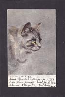 Cats -  On The Alert  -  Muriel Hunt.   (971).   1904. - Chats