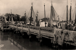 Le Crotoy * L'estacade * Les Bateaux - Le Crotoy