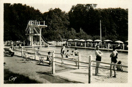 Mamers * La Piscine Des Mouettes * Le Grand Bassin * Le Plongeoir - Mamers