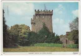 211 Blarney Castle.  Co Cork. Ireland - (Dollard) - 1962 - Cork