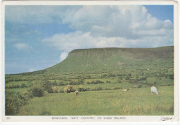 Benbulben, Yeats' Country, Co. Sligo, Ireland - 1967 - (Dollard) - Sligo