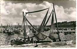 29100 DOUARDENEZ - Les Bateaux Sardiniers Dans Le Port - CPSM 9x14 Photographie Véritable - Douarnenez