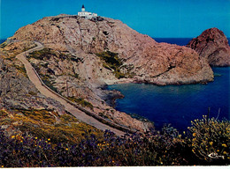 L'ile Rousse * Route Et Vue Sur Le Phare * Haute Corse 2B - Andere & Zonder Classificatie