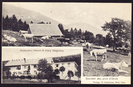 1912 Gelaufene AK: Souvenir Des Près D'Orvin. Links Unten Eckbug. Restaurant Und Pension Vilars, Ilfingerberg. Stab- - Orvin