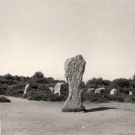 CARNAC * Alignements Du Menec * Thème Pierre Mégalithe Monolithe Dolmen Menhir * Photo Ancienne - Carnac