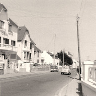 Quiberon * Rue Du Port Haliguen * Hôtel Bar L'IDEAL * Photo Ancienne - Quiberon