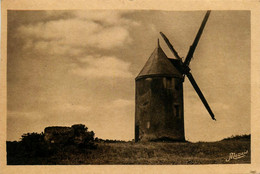 La Plaine Sur Mer * Le Moulin à Vent De La Prée Moud Le Blé Du Pays De Retz * Molen - La-Plaine-sur-Mer