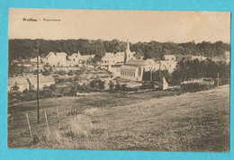 * Weillen - Onhaye (Namur - La Wallonie) * (Desaix - Edit Em. Adam Delcour) Panorama, église, Vue Générale, Old - Onhaye