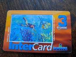 ST MARTIN  INTERCARD  / ROBERT DAGO - PLANGEE          3  EURO /   INTER 128 / USED  CARD    ** 10203 ** - Antilles (French)