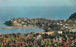 83 - Cavalaire Sur Mer - Le Cap Cavalaire Et La Plage - Cavalaire-sur-Mer