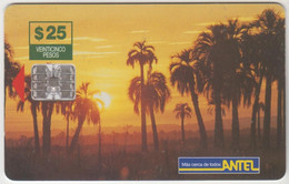 URUGUAY - Palms Trees, TC 0053a, 25 $ , Tirage 200.000, Used - Uruguay