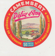 B B  285- ETIQUETTE   FROMAGE  CAMEMBERT   DELICE D'ANY FAB. EN THIERACHE S.I.L.F. MARLY-GOMONT AISNE. - Formaggio