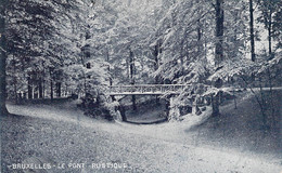 CPA Bruxelles - Le Pont Rustique - 1907 - Parks, Gärten