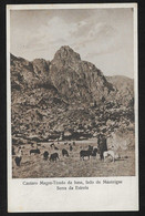 Postal Portugal - Manteigas - Pastor Da Serra Da Estrela - Cantaro Magro (Rara Edição Da Farmácia Braulio Monteiro) - Guarda