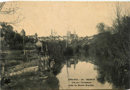 Semur * Vue Sur L'armançon , Prise Du Moulin Braziller - Semur