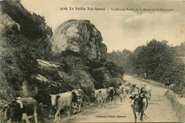 Auray * Environs * La Vallée Tré Auray * La Grande Roche De La Route De La Chartreuse * Troupeau Vaches - Auray