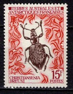 TAAF - FSAT - 1973  - Faune - Insectes II  - N° 49 - Neufs **  - MNH - Neufs