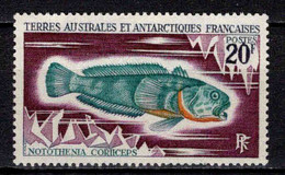 TAAF - FSAT - 1971  - Faune - Poissons I  - N° 36  - Neufs **  - MNH - Neufs