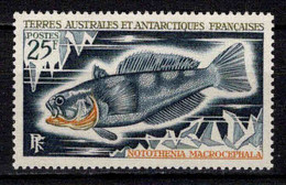 TAAF - FSAT - 1971  - Faune - Poissons I  - N° 37  - Neufs **  - MNH - Neufs