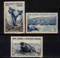 TAAF - FSAT - 1956  - Faune   - N° 2/4/6 - Neufs  **  - MNH - Neufs