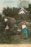 La Vie Aux Champs * Les Moissonneuses * Moisson Agricole Agriculture * 1906 - Otros & Sin Clasificación