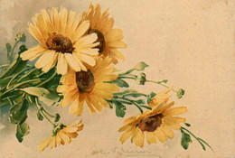 Catharina KLEIN Klein * CPA Illustrateur * N°212 * Fleur Flower - Klein, Catharina