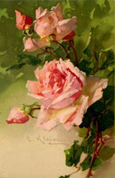 Catharina KLEIN Klein * CPA Illustrateur * Fleur Flower Roses - Klein, Catharina