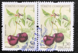 Türkiye - Turkije - C10/10 - (°)used - 2011 - Michel 3916 - Vruchten - Oblitérés