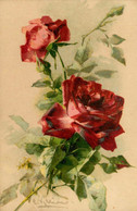 Catharina KLEIN Klein * CPA Illustrateur * Fleur Flower Roses - Klein, Catharina