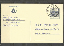 Belgique - Carte-Postale 13F BUZIN Avocette Obl VORSELAAR - Briefkaarten 1951-..