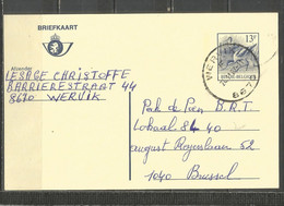 Belgique - Carte-Postale 13F BUZIN Avocette Obl WERVIK - Cartoline 1951-..