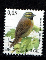 0,05€ Cirlgors Buzin Uit 2005 (OBP 3379 ) - Used Stamps