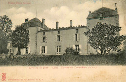 Celles * Le Château De Lussaudière * Environs De Niort - Celles-sur-Belle