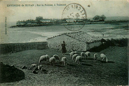 Talmont Sur Gironde * Environs De Royan * Sur La Falaise * Berger Mouton - Otros & Sin Clasificación