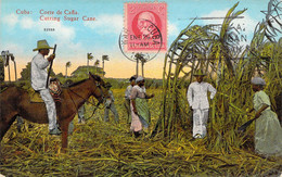 CPA CUBA "Récolte De La Canne à Sucre" - Cuba