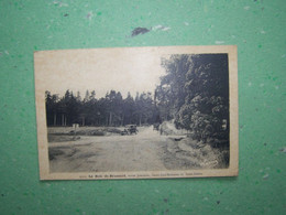 SAINT-DIDIER EN VELAY. HAUTE LOIRE. LES VOITURES. LES ARBRES. LE BOIS DE BRAMARD. - Saint Didier En Velay