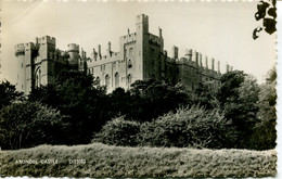 SUSSEX - ARUNDEL CASTLE RP Sus1162 - Arundel