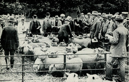 SUSSEX - CHICHESTER MARKET 1930 (REPRO) Sus1215 - Chichester