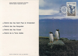 SOUTH POLE, ANTARCTIC WILDLIFE, GENTOO PENGUINS, CM, MAXICARD, CARTES MAXIMUM, 1996, TAAF - Fauna Antártica